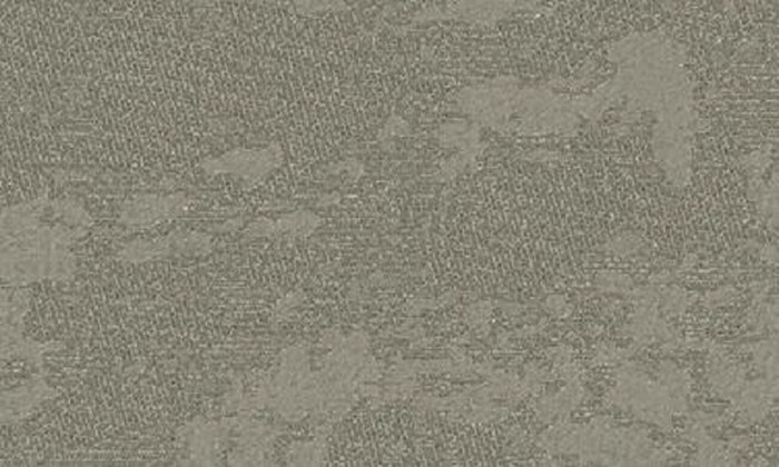 425-102001001 425-102001001